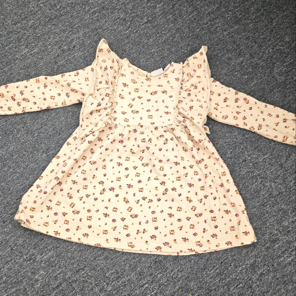 Zara dress 3-4T long sleeve